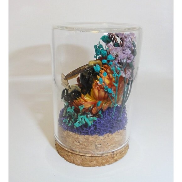 Carpenter Bee on Sunset Flower Oddity jar curiosity Dome insect taxidermy goth - Picture 10 of 16